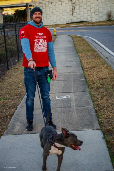 Aquatic Ostriches-1