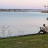 Green Cove-1